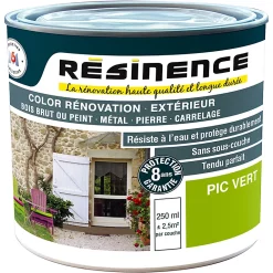 Castorama Peinture Rénovation Multi-supports Résinence Pic Vert Satin Résinence 0,25L