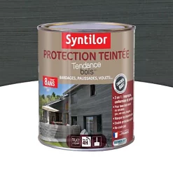 Castorama Protection Teintée Bois Syntilor Anthracite 1L - 8 Ans