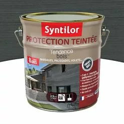 Castorama Protection Teintée Bois Syntilor Anthracite 2,5L - 8 Ans