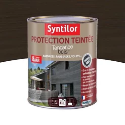 Castorama Protection Teintée Bois Syntilor Chêne Brûlé 1L - 8 Ans
