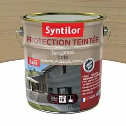 Castorama Protection Teintée Bois Syntilor Chêne Brut 2,5L - 8 Ans