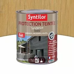 Castorama Protection Teintée Bois Syntilor Incolore 1L - 8 Ans