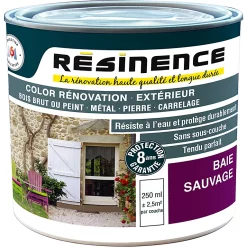 Castorama Résine De Rénovation Multi-support Baie Sauvage Satin Résinence 0,25L