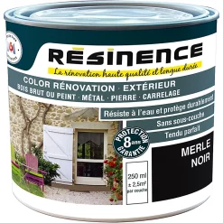 Castorama Résine De Rénovation Multi-support Merle Noir Satin Résinence 0,25L