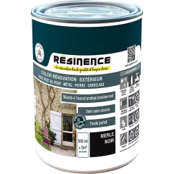 Castorama Résine De Rénovation Multi-support Merle Noir Satin Résinence 0,5L