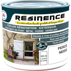 Castorama Résine De Rénovation Multi-support Perce Neige Satin Résinence 0,25L